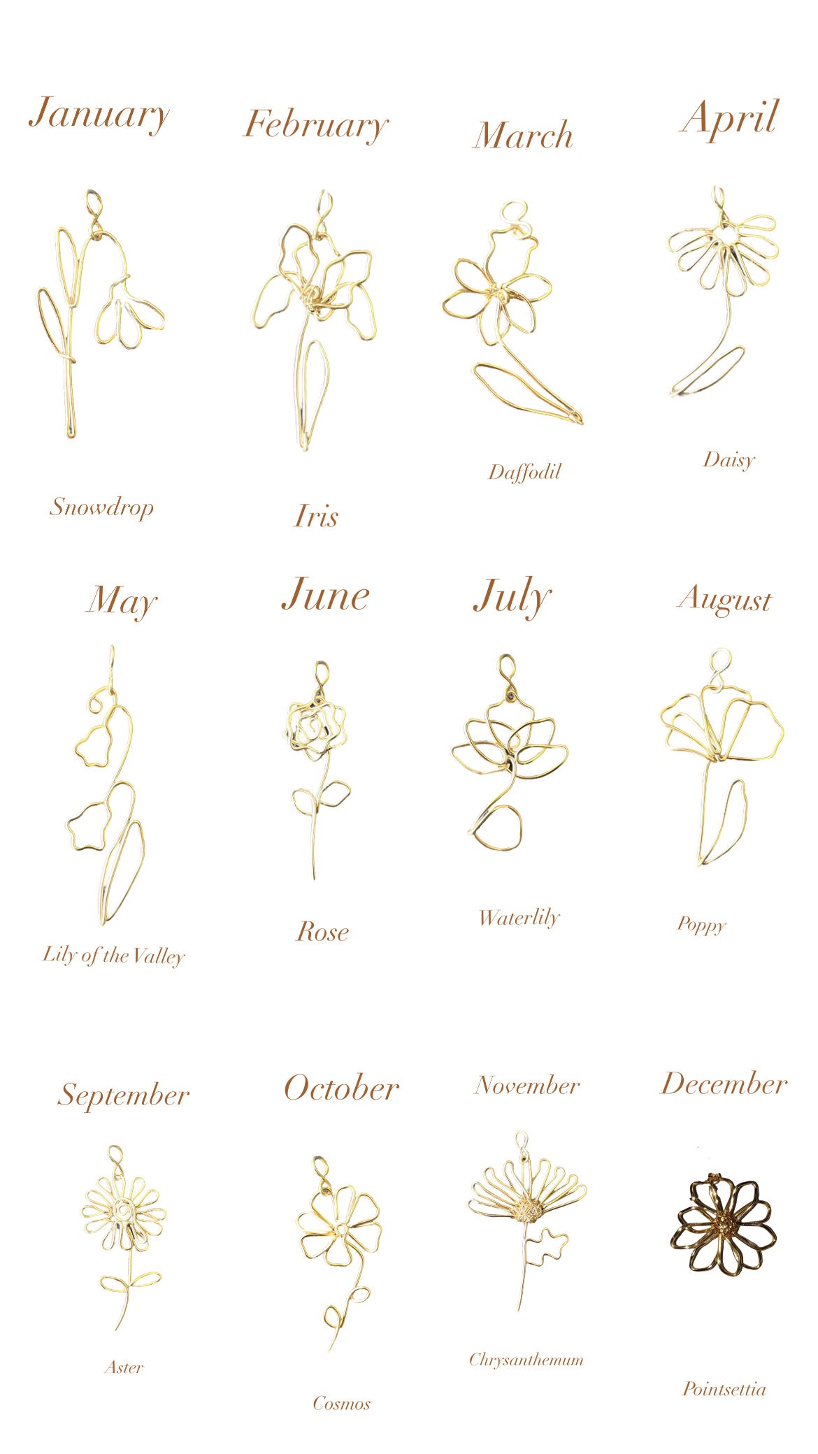 A Year in Bloom